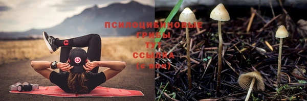 MDMA Premium VHQ Беломорск