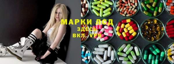 стаф Белокуриха