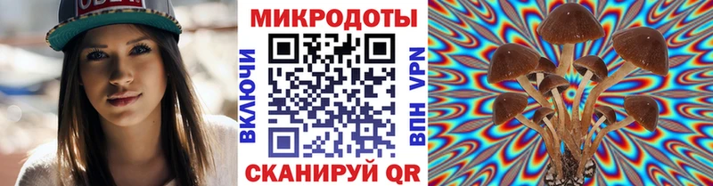 Галлюциногенные грибы Psilocybine cubensis  как найти   Реутов 